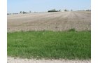 Property photo 6 - 172 Acres Offered in 3 Tracts - Prime Farmland